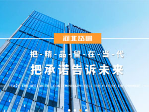 河北岱嶸建設(shè)有限公司，與我公司簽署網(wǎng)站建設(shè)合同